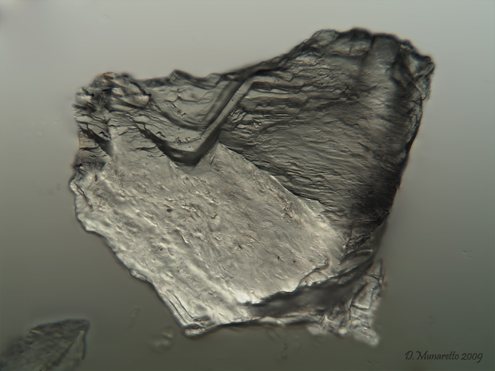 Il famoso...sasso nello stagno!